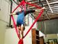 Glenn Davy doing silk aerial acrobatics